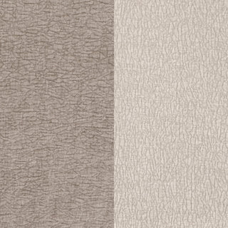 Townsend 2-piece Chenille Upholstered Sofa Set Latte