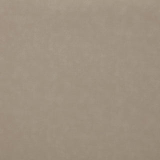 Brentwood 2-piece Upholstered Reclining Sofa Set Taupe