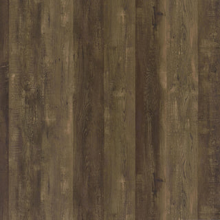 Myles 2-door Engineered Wood 60-inch TV Stand Rustic Oak
