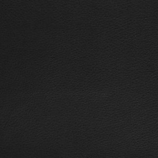 Ximena Upholstered Adjustable Mid Back Office Chair Black