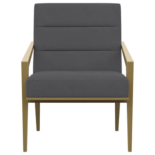 Kirra Upholstered Metal Arm Accent Chair Dark Grey