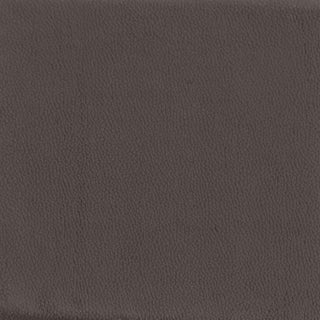 Aloma Upholstered Tufted Armless Accent Chair Brown