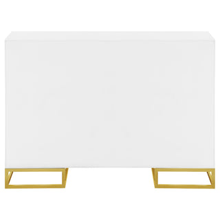 Elsa 2-door Wood Storage Accent Cabinet White and Gold