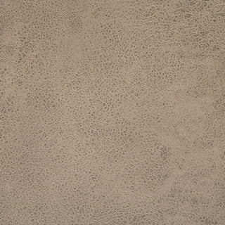 Tallenger Bar Height Bar Stool (Set of 2)